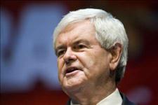 What Does Newt Gingrich stand for